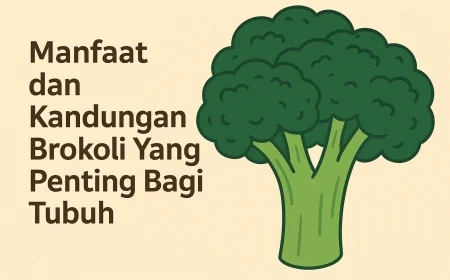 5 Manfaat dan Kandungan Brokoli Yang Penting Bagi Tubuh