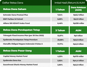 5 Langkah Jitu Raih Keuntungan Maksimal Dengan Menabung Reksadana Di Indonesia